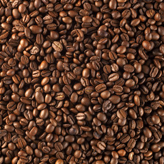 fresh roasted coffee beans