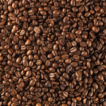 fresh roasted coffee beans © kameel