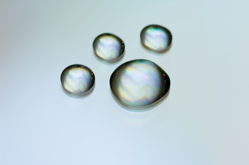 water drops as animal footprint