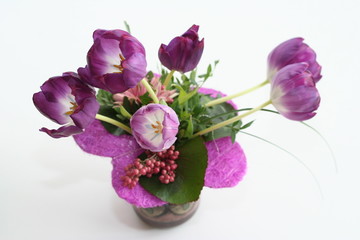 composition of purple tulips isolated