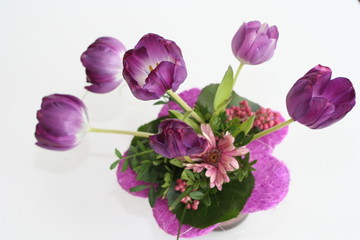 composition of purple tulips isolated