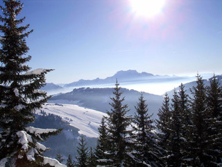 photo de montagne et de sapin.