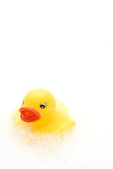 yellow rubber duck in bubbles