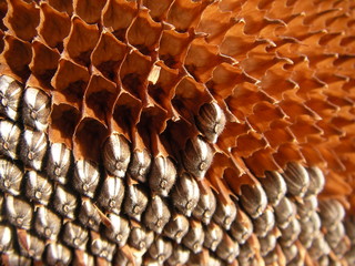 halb voll, halb leer