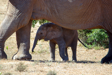 baby_005