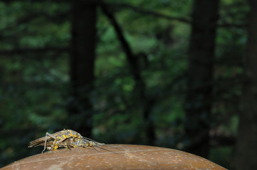 an ungewöhnlichen orten