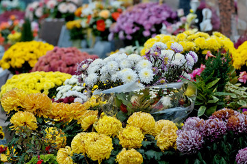 chrysanthemum on a tomb