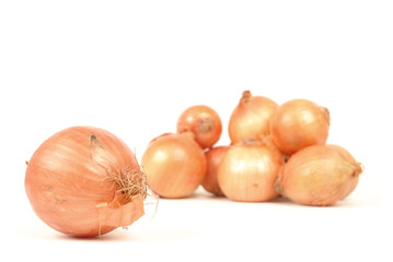 onion