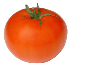 the perfect tomato