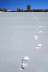 footprints on the frozen lake