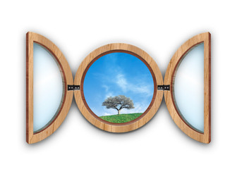 window