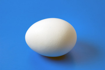 single hen egg close-up on blue background