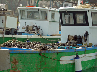 barche da pesca