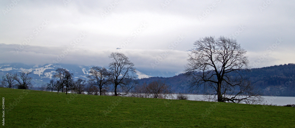 1000_F_2344063_fnOzjKZovWu0TixYRgHWP9FUsyjpvW.jpg