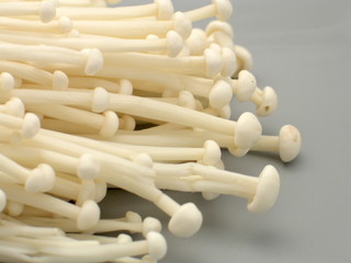 japanische enoki pilze