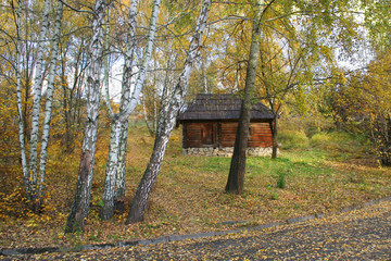 house in a forest - autumn landscape