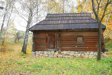 forest house autumn landscape