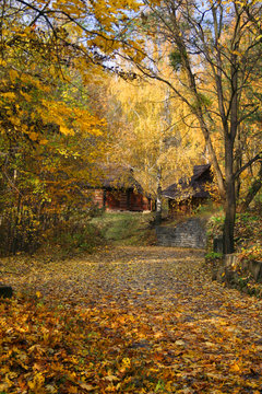 house in a forest - autumn landscape