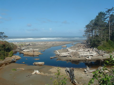 The Picturesque Kalaloch Beach