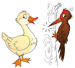 duck and woodpecker