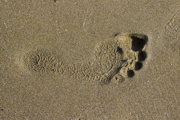 footprint