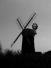 Cercles muraux Moulins dark silhouette of horsey mill