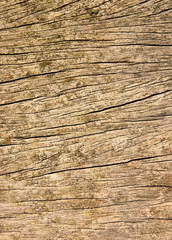 rough wood texture background.