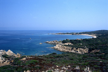 la  sarda