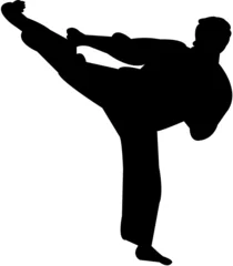 Photo sur Plexiglas Arts martiaux martial arts silhouette