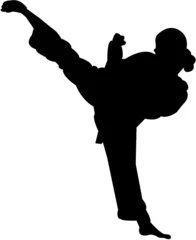 Photo sur Plexiglas Arts martiaux silhouette d& 39 arts martiaux