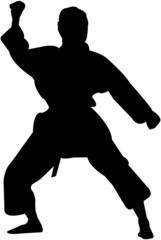 martial arts silhouette
