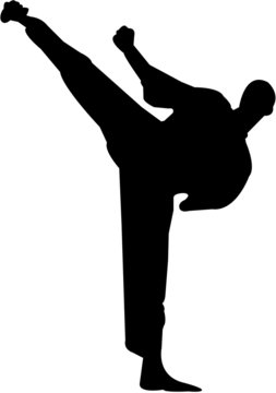 martial arts silhouette