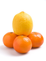 citrus fruits