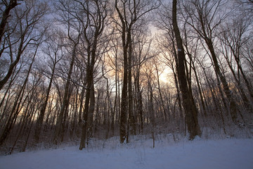 frigid sunrise