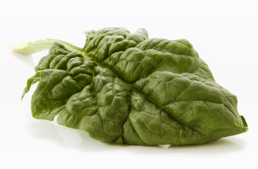 Obraz premium spinach leaf