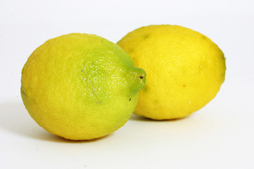 limoni di sicilia