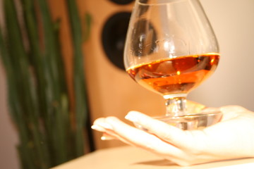 kognak glas