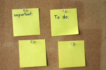 copy space for important notes