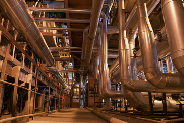Fototapeta premium inside of plant