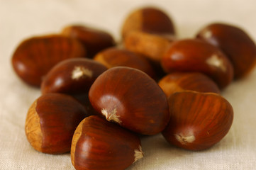 Obraz premium chestnuts