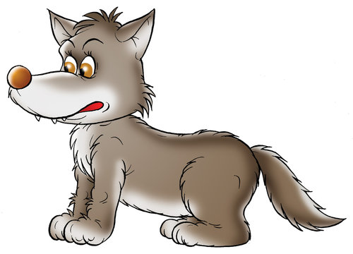 grey wolf
