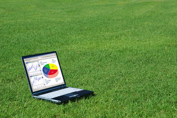 laptop in the grass