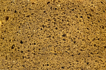 bread texture