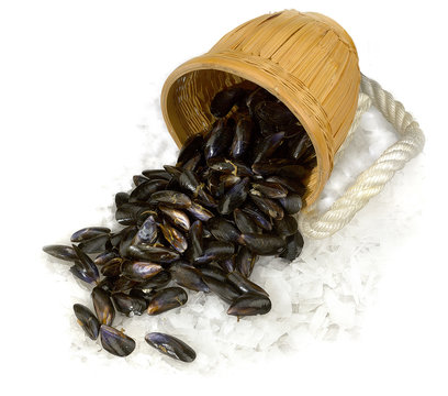 moules crues renvers&eacute;es