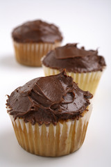 milk chocolate and vanilla cupcakes