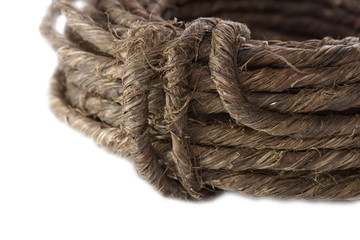 grapevine wire close-up