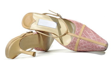 female elegant  shoes