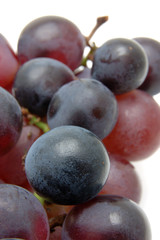 close up of kyohou grapes