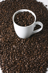 coffee background