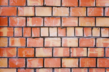 the brick wall